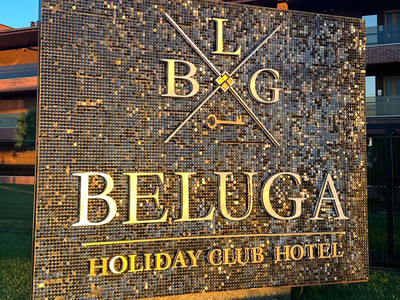 Beluga Новый Год 2024